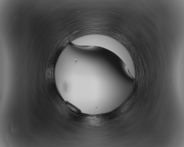 X0000083070425200703022201