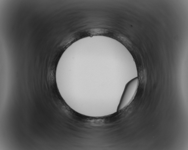 X0000083070426200703022201