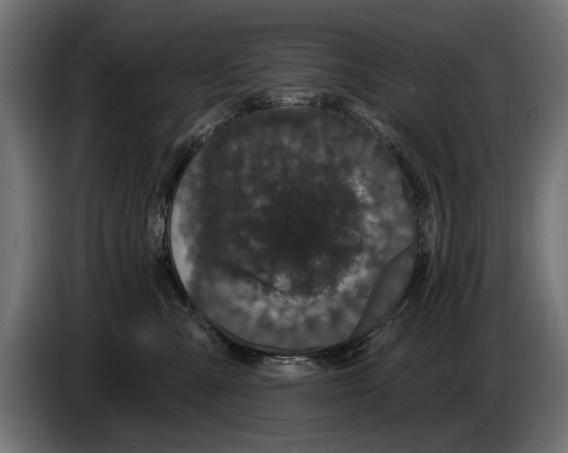 X0000083070427200703022201