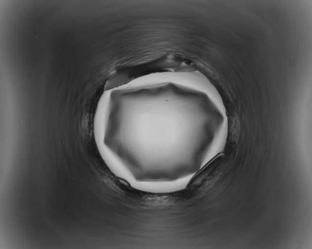 X0000083070428200703022201