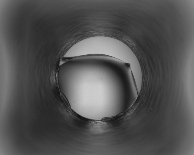 X0000083070429200703022201