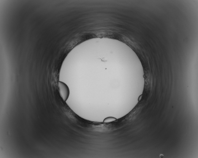 X0000083070430200703022201