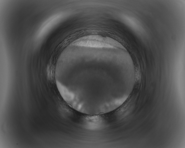 X0000083070431200703022201