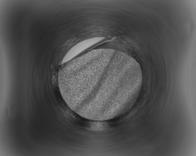 X0000083070432200703022201