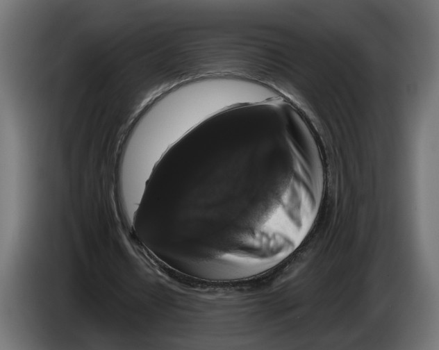 X0000083070434200703022200