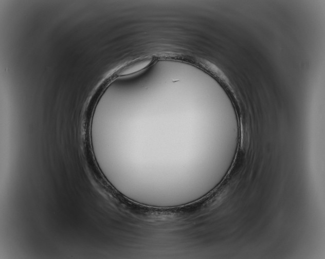 X0000083070435200703022200