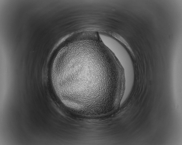 X0000083070436200703022200