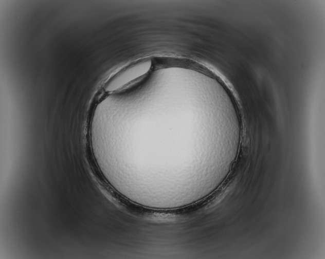 X0000083070437200703022200