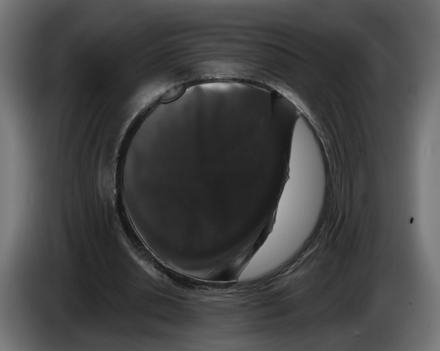 X0000083070438200703022200