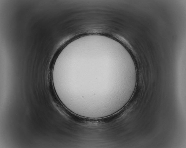 X0000083070439200703022200