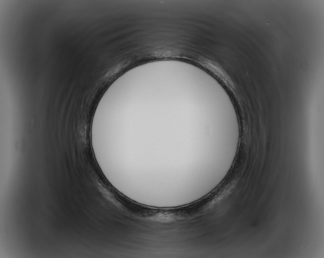 X0000083070441200703022200