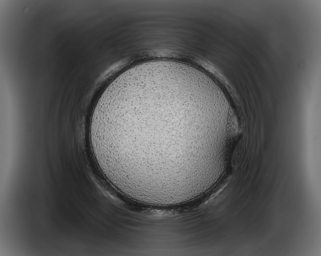 X0000083070442200703022200