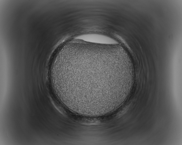 X0000083070443200703022200