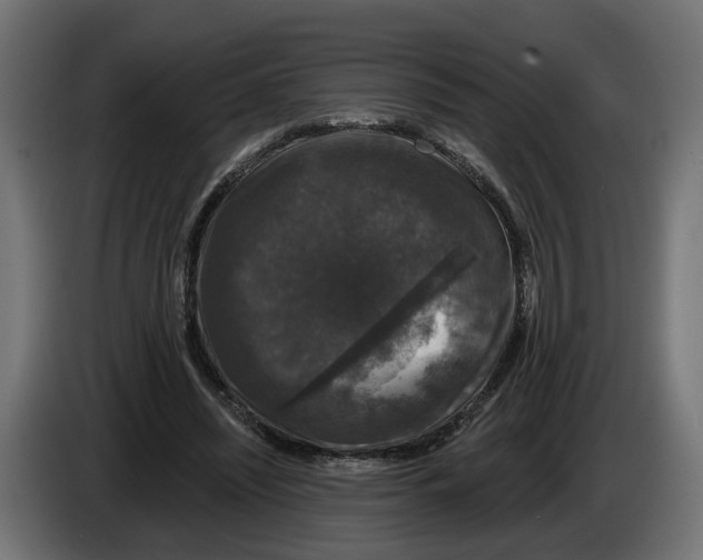 X0000083070444200703022200