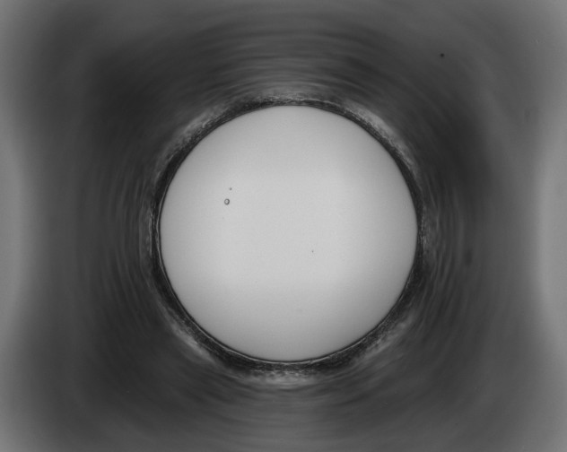 X0000083070445200703022200