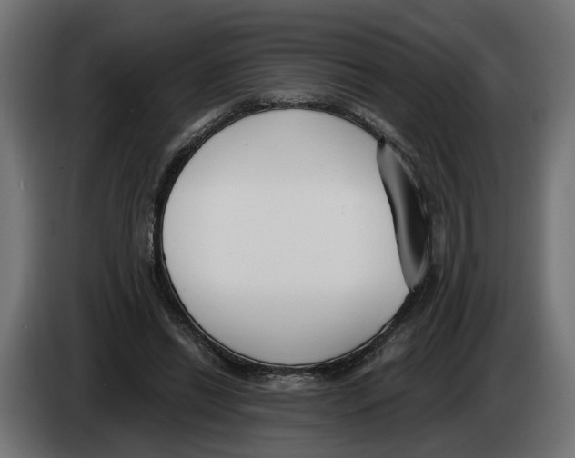 X0000083070446200703022200