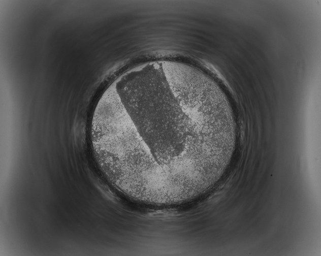 X0000083070447200703022200