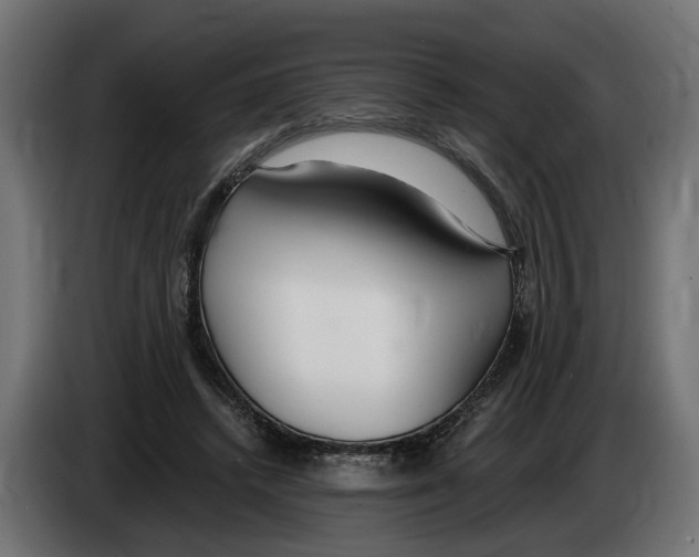 X0000083070448200703022200