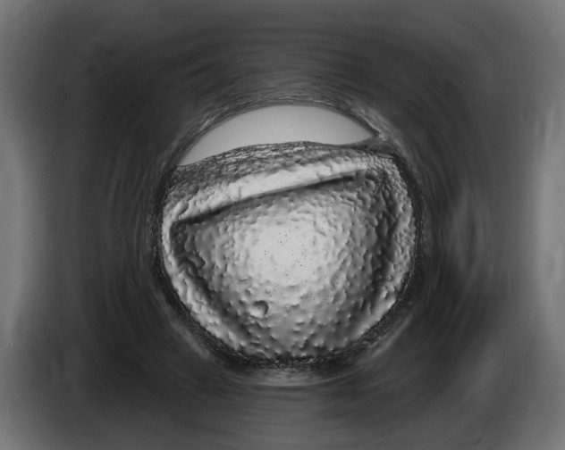 X0000083070449200703022200