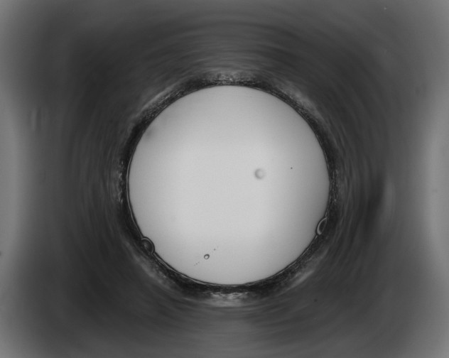 X0000083070450200703022200