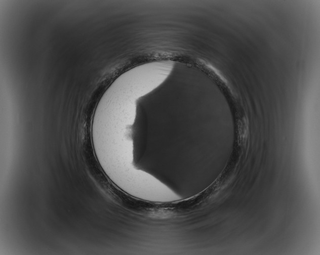 X0000083070451200703022200