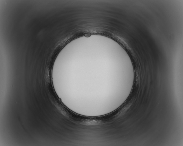 X0000083070453200703022200