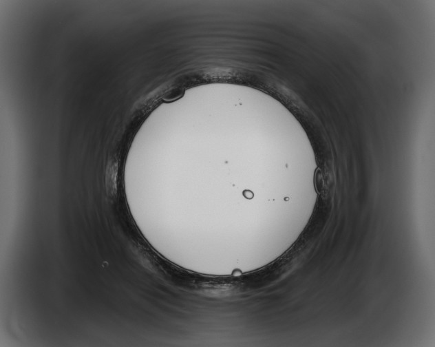 X0000083070454200703022200