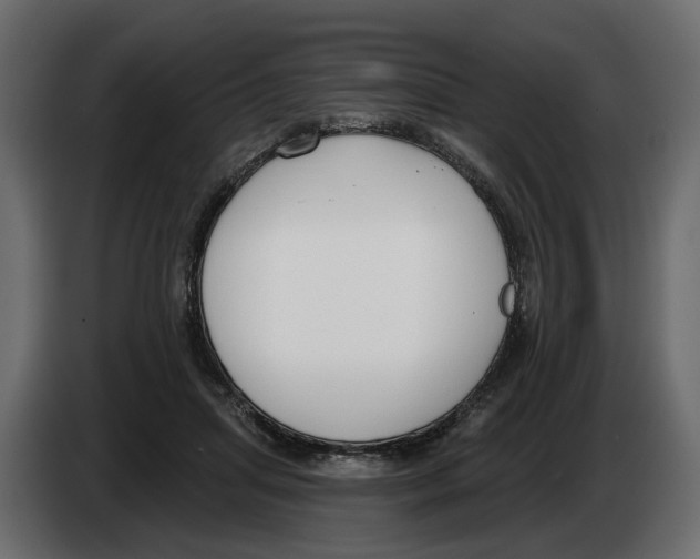 X0000083070455200703022200