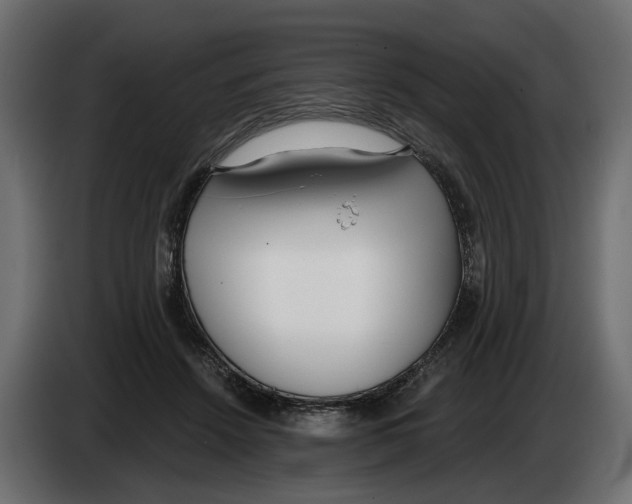 X0000083070456200703022200