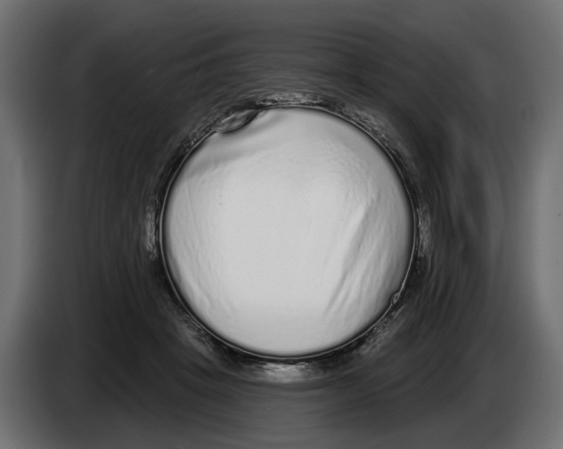 X0000083070457200703022200