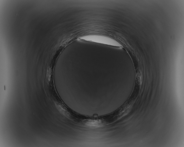 X0000083070458200703022200