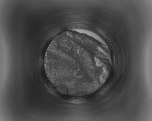 X0000083070459200703022200