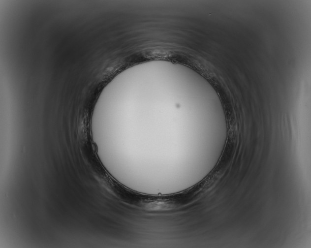 X0000083070460200703022200