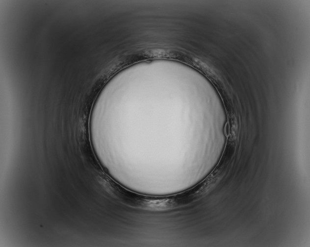 X0000083070461200703022200