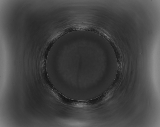 X0000083070462200703022200