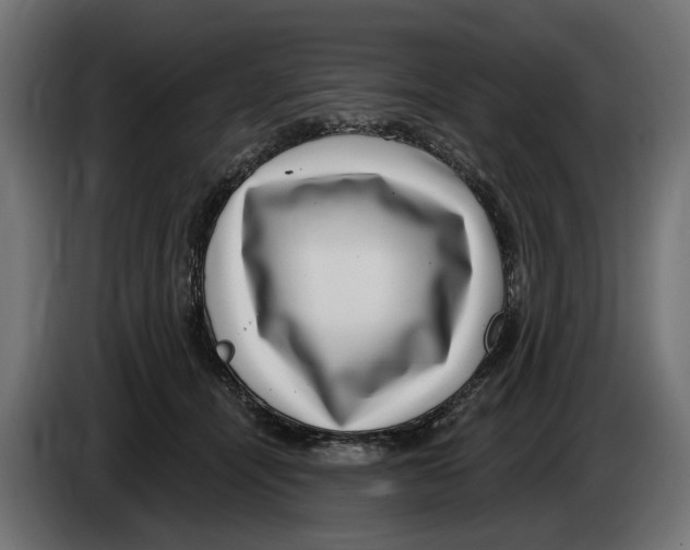 X0000083070464200703022201