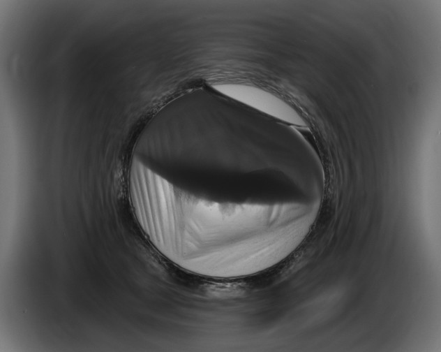 X0000083070465200703022201