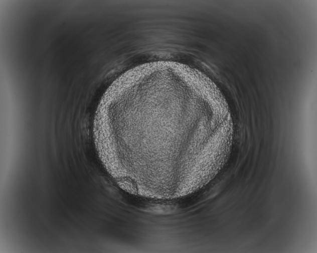 X0000083070466200703022201