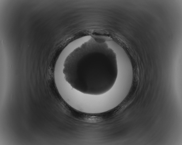 X0000083070467200703022201