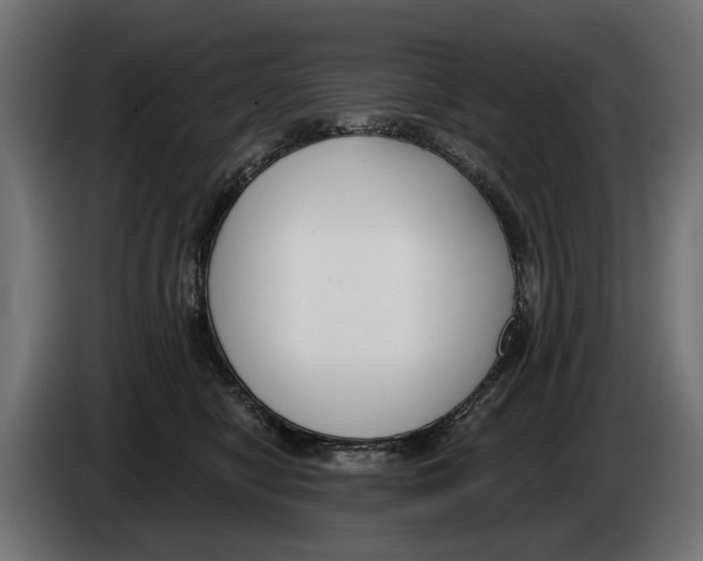 X0000083070470200703022201