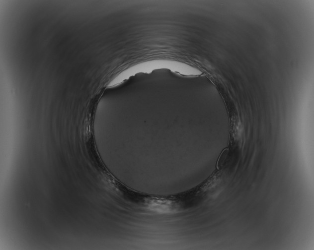 X0000083070471200703022201