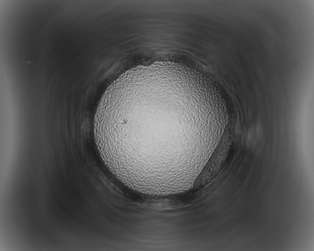 X0000083070472200703022201