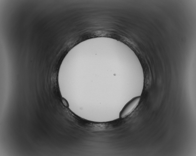 X0000083070473200703022201