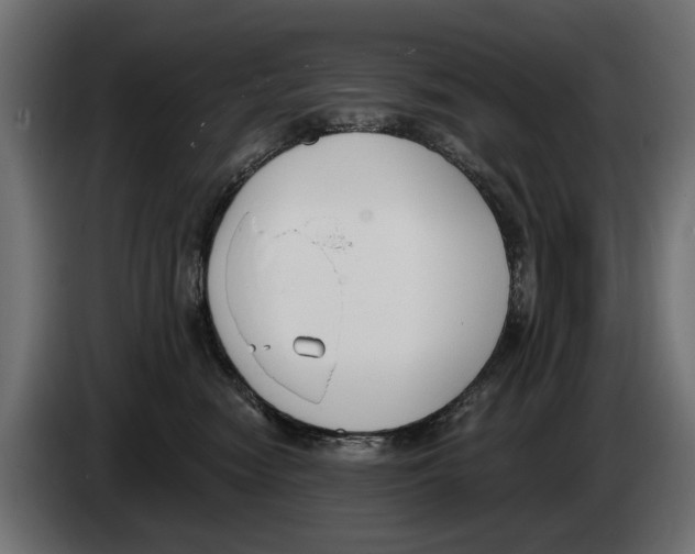 X0000083070474200703022201