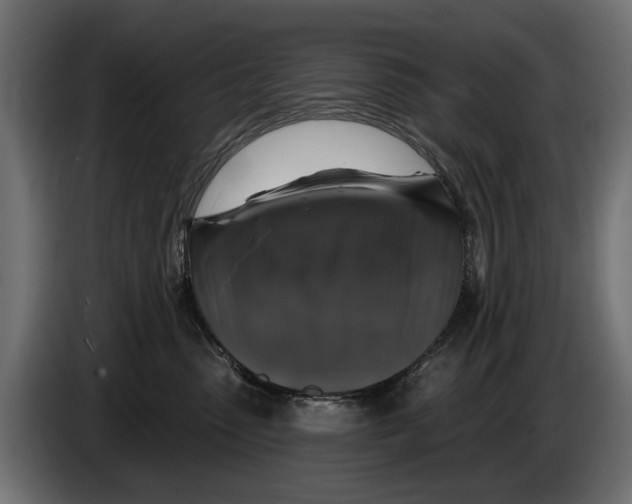 X0000083070475200703022201