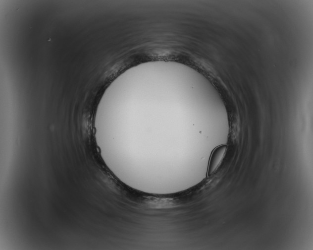 X0000083070476200703022201