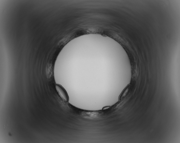 X0000083070478200703022201