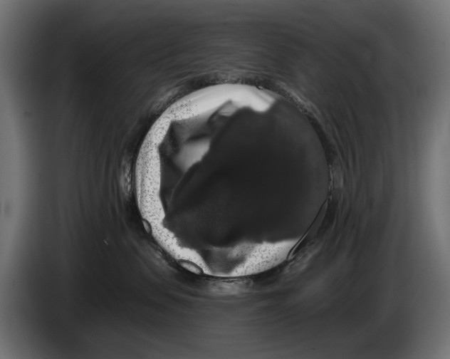 X0000083070479200703022201