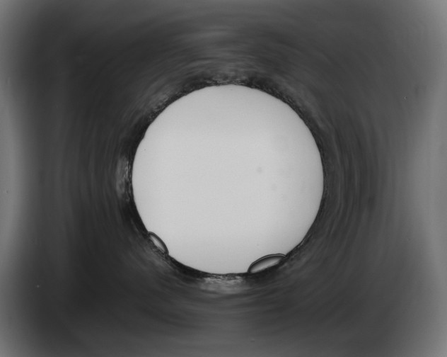 X0000083070480200703022201