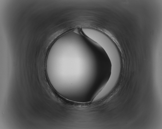 X0000083070481200703022200